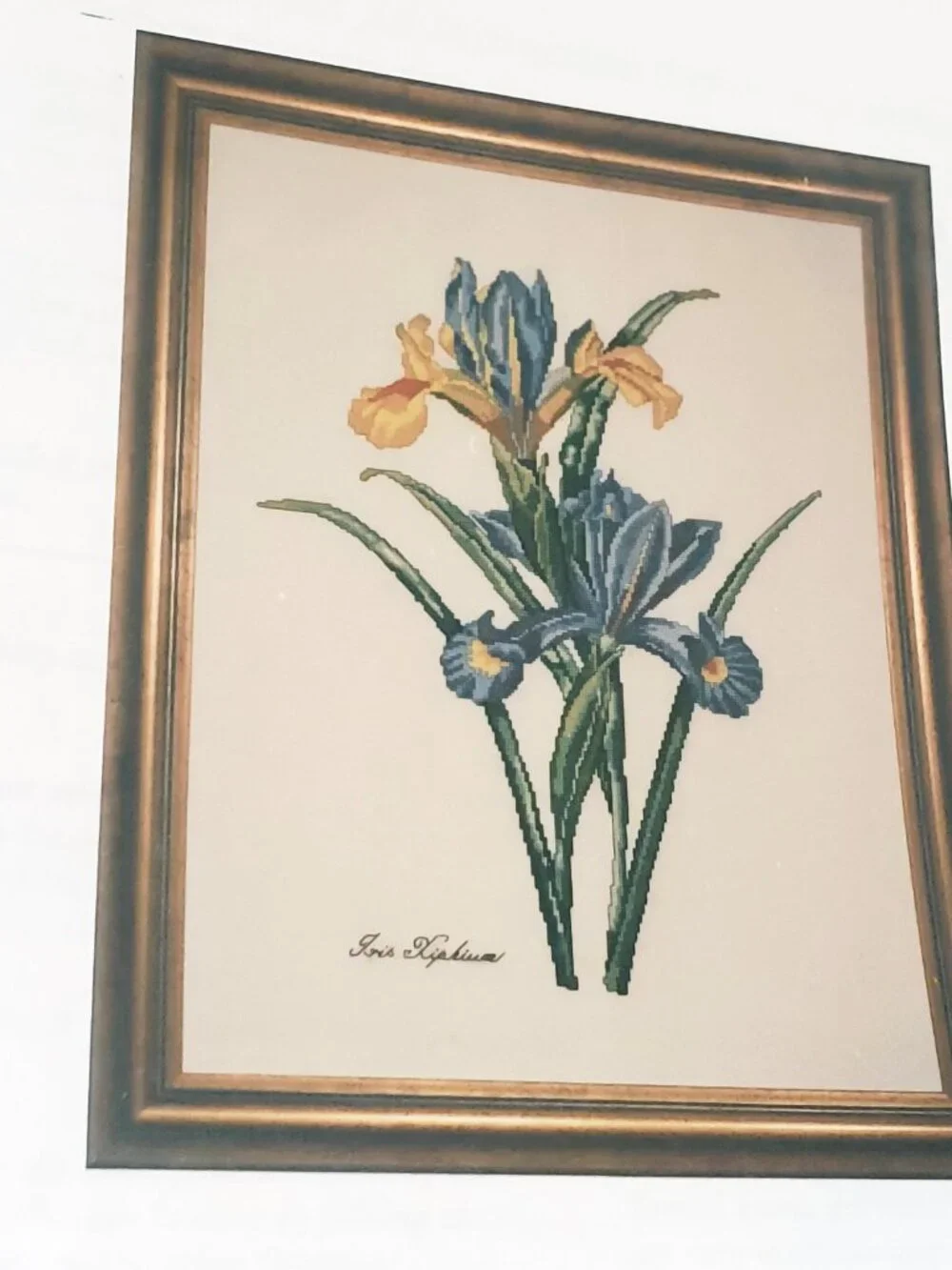 Blue Iris #7 Counted Cross Stitch Chart-Pak The Lilac Studio 1994